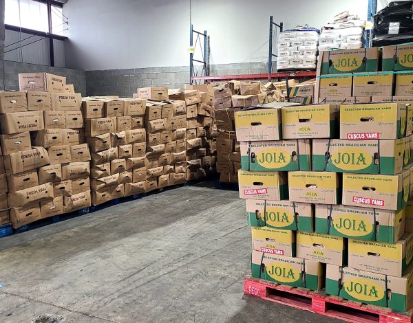 2025_ASAK_FUMIGATION_01